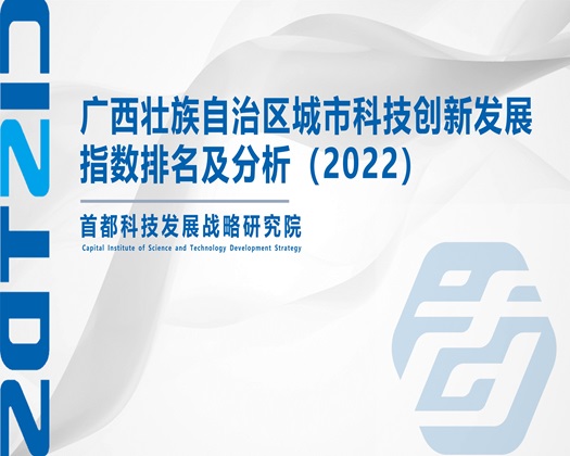 鸡巴插入骚逼视频【成果发布】广西壮族自治区城市科技创新发展指数排名及分析（2022）